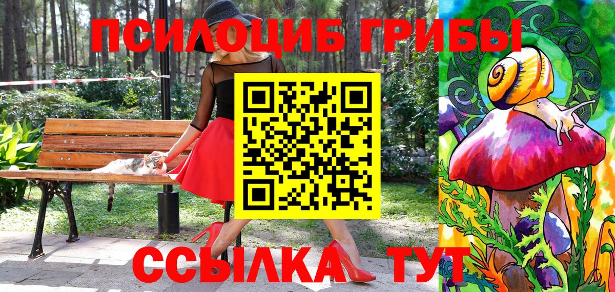 Галлюциногенные грибы Magic Shrooms  Псилоцибиновые грибы Psilocybine cubensis  Каменск-Уральский  Вход с VPN 